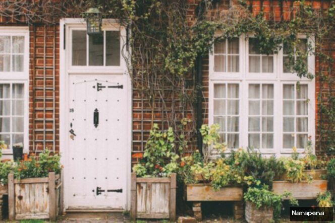 
					Feng Shui Pintu Depan: 5 Tanaman Hias Pembawa Hoki Terbaik