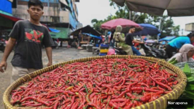 
					Mengapa Harga Cabai Merah Keriting Tinggi
