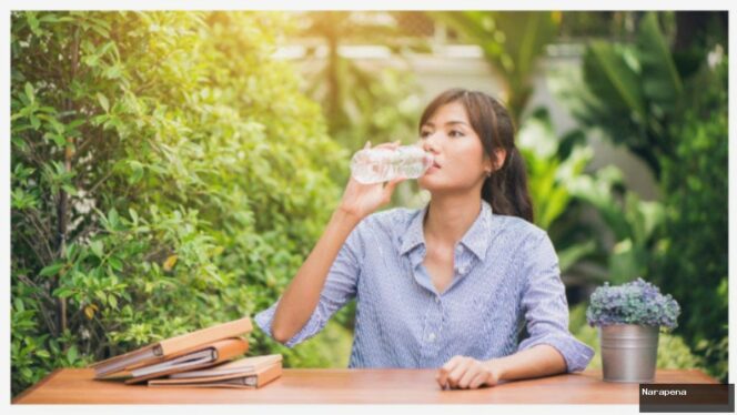 
					20 Minuman Sehat & Segar: Resep Terbaik Tanpa Alkohol