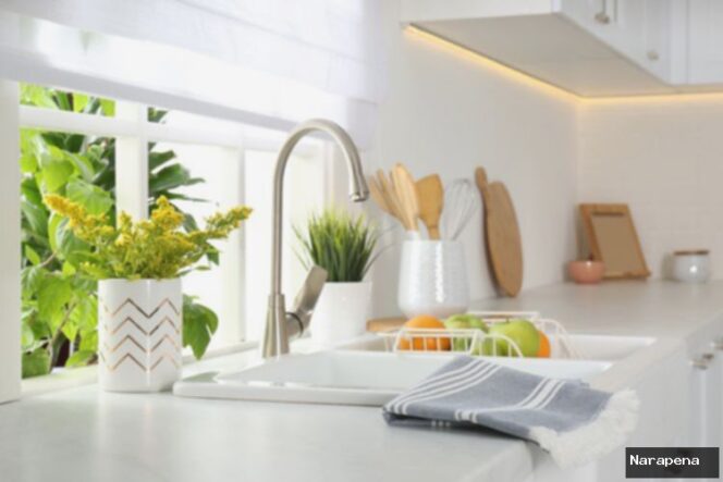 
					Dapur Segar: 8 Tanaman Hias Terbaik untuk Dekorasi & Udara Bersih